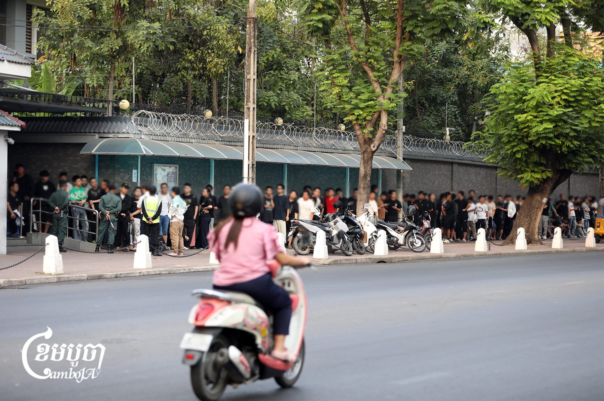 Hundreds of Chinese seen at the Chinese embassy in Phnom Penh on Sunday and Monday for assistance to renew visas before Chinese New Year and return home as authorities raid telecommunication fraud operations. (CamboJA/Pring Samrang)